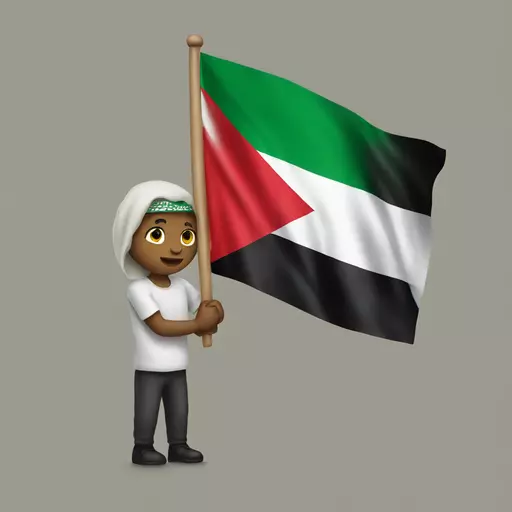 A person holding the Palestinian flag emoji